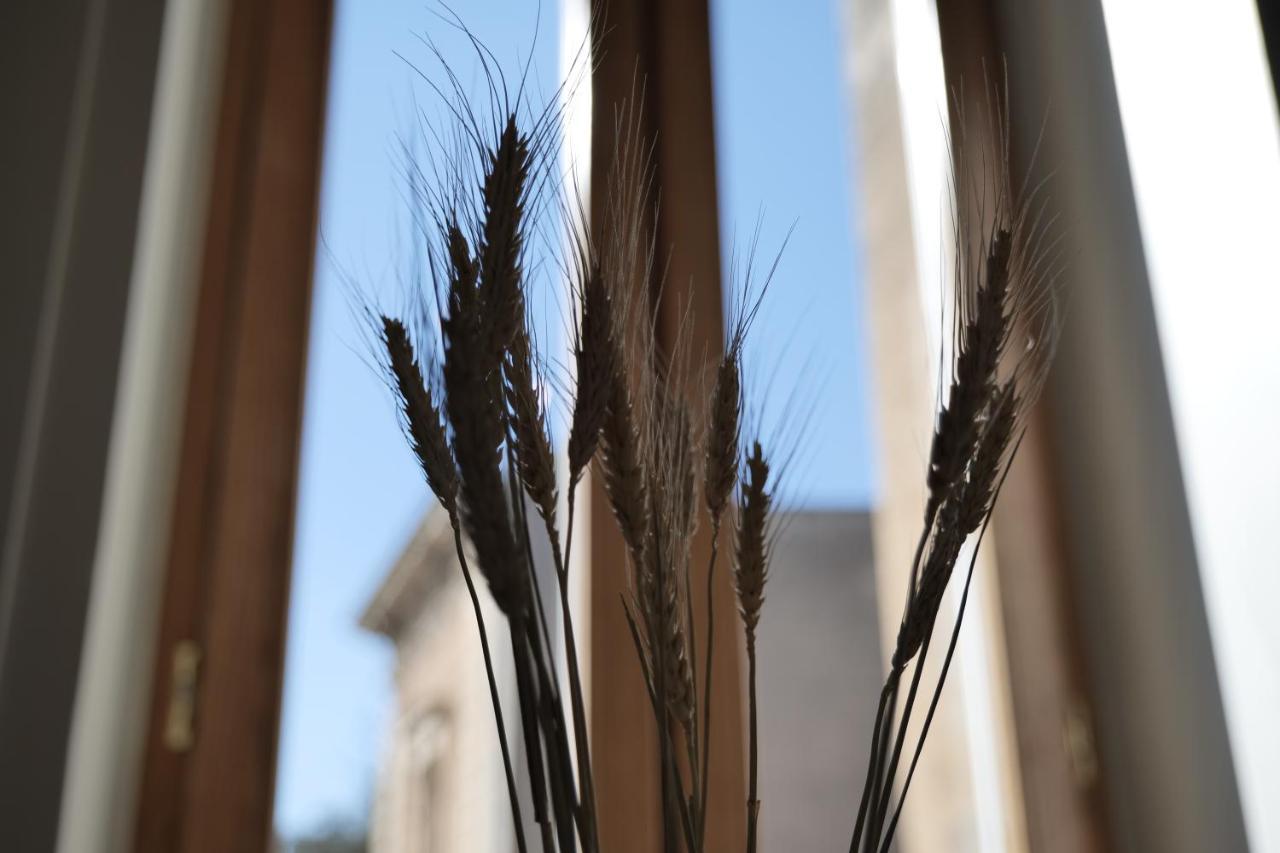 Dimora San Giuseppe Bed & Breakfast Lecce Exterior photo